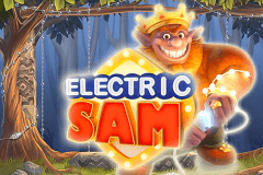Electric SAM