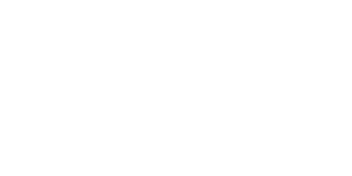 Punch Bets